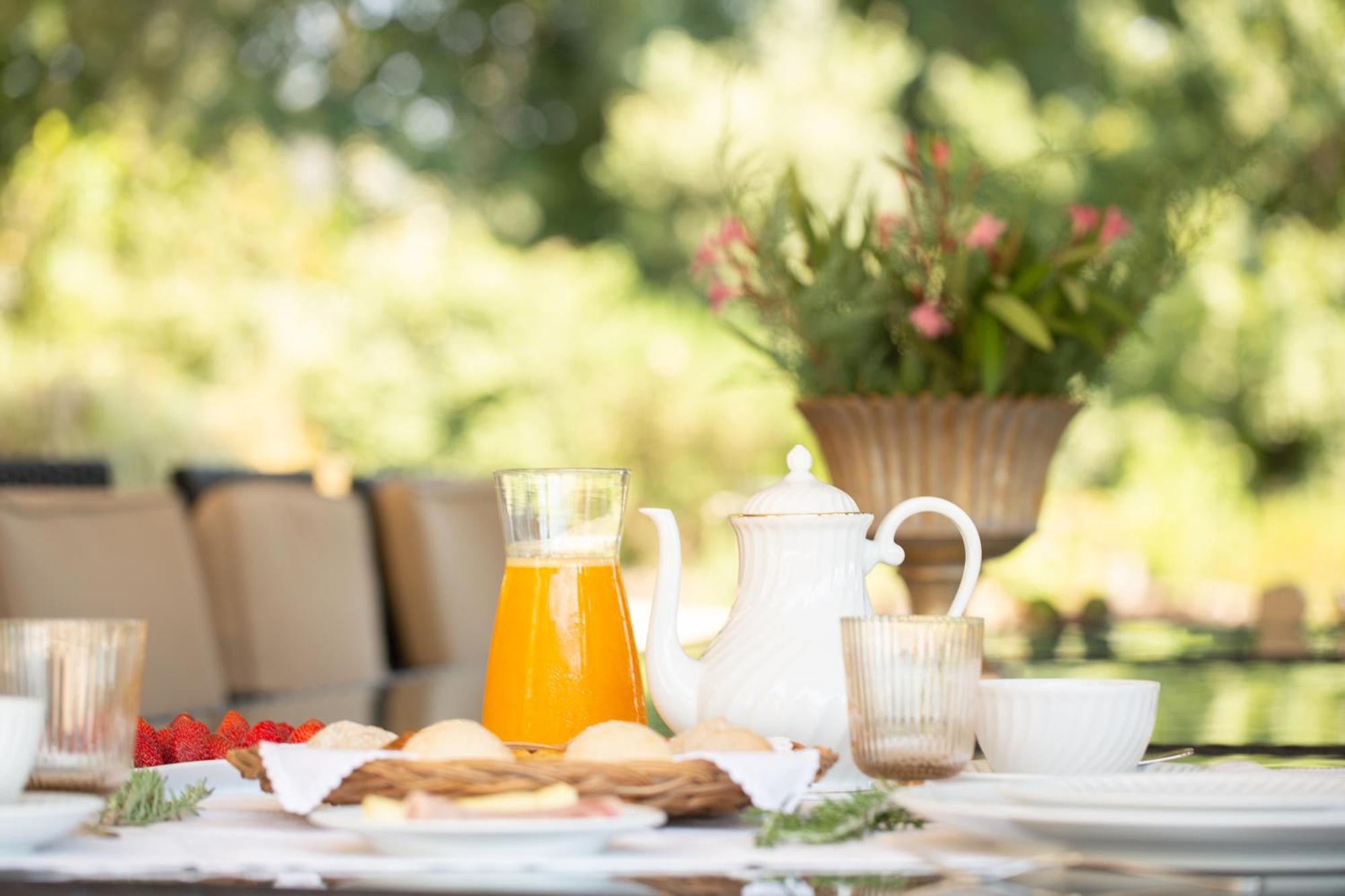 The Fox House - Private Villa & Nature Sao Pedro do Sul Ngoại thất bức ảnh