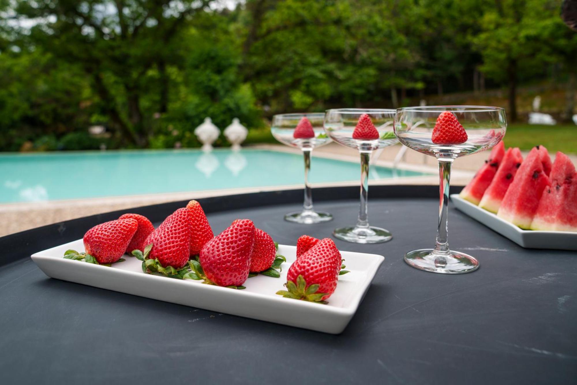 The Fox House - Private Villa & Nature Sao Pedro do Sul Ngoại thất bức ảnh